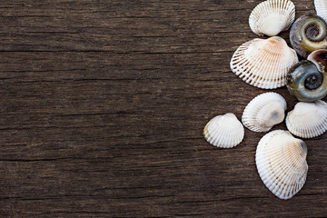 Fototapeta na wymiar River seashells on a wooden background.