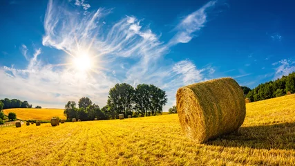Foto auf Acrylglas Sommer Landschaft im Sommer mit Heuballen auf einem Feld und blauem Himmel mit strahlender Sonne im Hintergrund