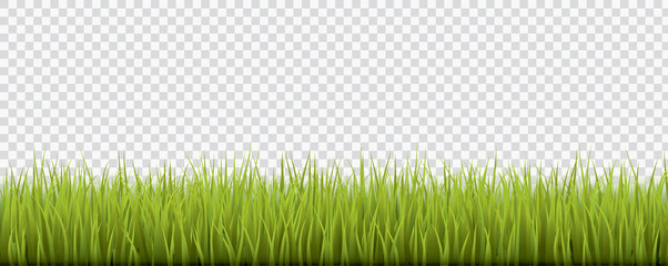 Fresh realistic green grass - vector illustration  - obrazy, fototapety, plakaty