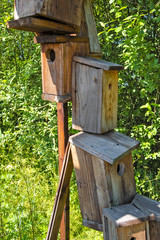Nowe Kawkowo, Poland - Garden birg nesting boxes in the Lavender field open air museum of lavender farming and processing