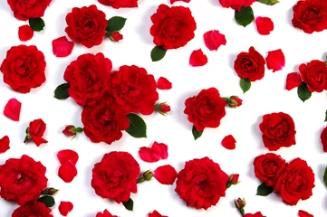 Fotobehang Red roses on white © Alekss