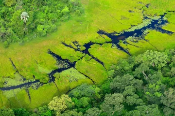 Foto op Aluminium Aerial landscape in Okavango delta, Botswana. Lakes and rivers, view from airplane. Green vegetation in South Africa. Trees with water in rainy season. © ondrejprosicky