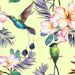 Obrazy  Piękne kolorowe kwiaty colibri i plumeria na jasnozielonym tłem. Egzotyczny tropikalny wzór. Malarstwo akwarelowe. Ręcznie malowane ilustracja.