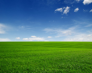 green field and clouds