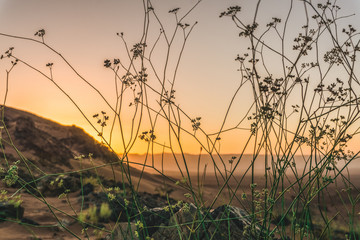 Obraz premium Sunrise in the desert
