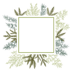 Vector frame with Christmas plant. Hand-drawn ilustration.