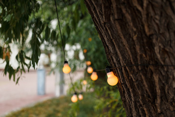 warm light bulbs at the evening event