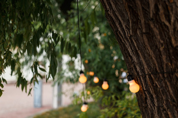 warm light bulbs at the evening event