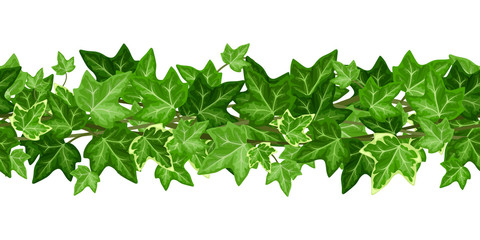 Vector horizontal seamless garland with green ivy leaves on a white background. - obrazy, fototapety, plakaty
