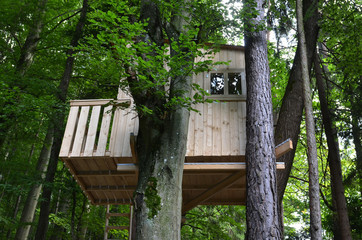 Baumhaus
