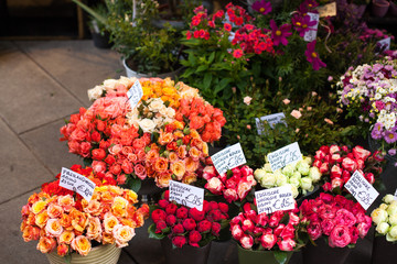 Outdoor flower market with red, orange, pink roses, in Vienna, Austria