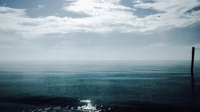 Cinemagraph. A number of birds fly through the sky above an ocean