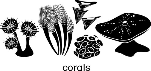 Set of silhouettes of stylized soft corals © Kazakova Maryia