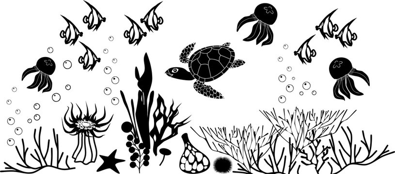 Coral reef with turtle and other marine animals