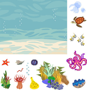 Educational game: assembling Ecosystem of coral reef from ready-made components in form of stickers