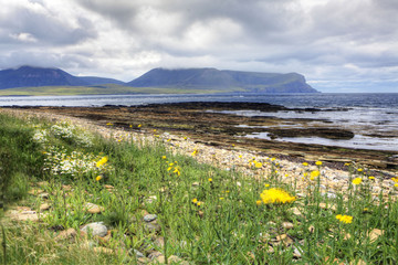 Warbeth Bay in Orkney with flowered foreground