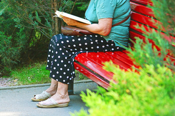 Elderly woman reads book in the park on a bench
