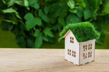 house of the miniature on wooden background