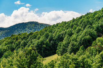 Fototapeta na wymiar Beautiful Carpathian Mountains Summer Landscape In Romania