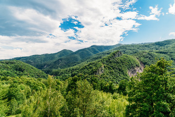 Beautiful Carpathian Mountains Summer Landscape In Romania