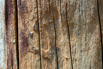 Abstract texture on surface of old wooden board