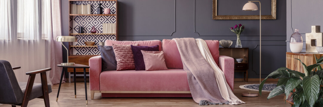 Powder pink velvet couch with decorative pillows and two blankets standing in dark sitting room interior with molding on the wall and books on retro cupboard
