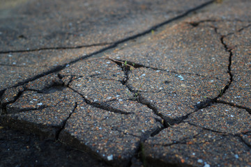Cracked old pavement