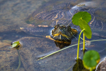 Coming to the surface!