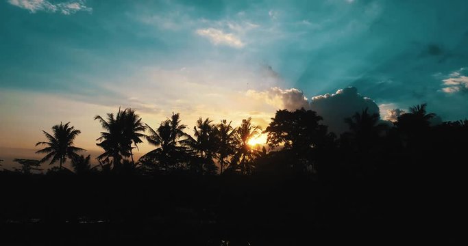 Aerial drone view of amazing cloudy sunset with with silhouettes of tropical palm trees in Bali, Indonesia