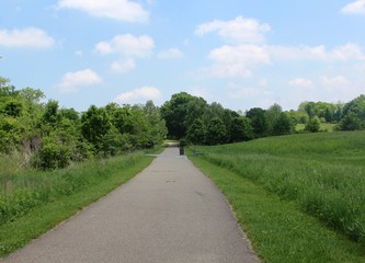The long blacktop walkway in the park.