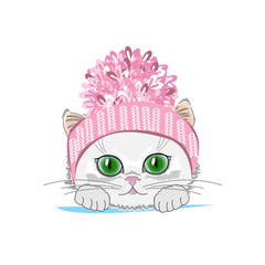 Cute cat in a winter hat with bubo