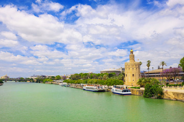 Fototapeta premium Tower Torre del oro in Seville, Andalusia, Spain