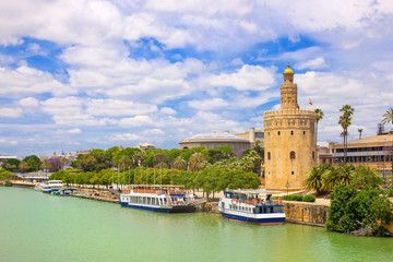 Obraz premium Tower Torre del oro in Seville, Andalusia, Spain