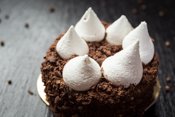 Chocolate truffle cake with bise