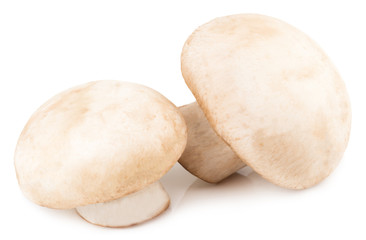 Fresh champignon mushrooms isolated on white background