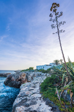 Cala Ferrera Felsk&uuml;ste, Mallorca, Abendsonne