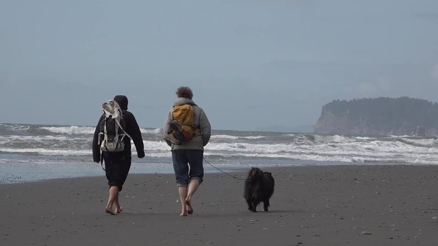 The Coast Of The Pacific Ocean, Tourists With A Dog Are Walking Along The Ocean Shore. Olympic National Park, United States, Washington