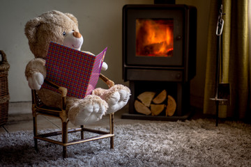descanso de oso en living de casa en invierno