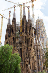 Fototapeta na wymiar Barcelona, Catalonia, Spain. Facade of Sagrada Familia Church.