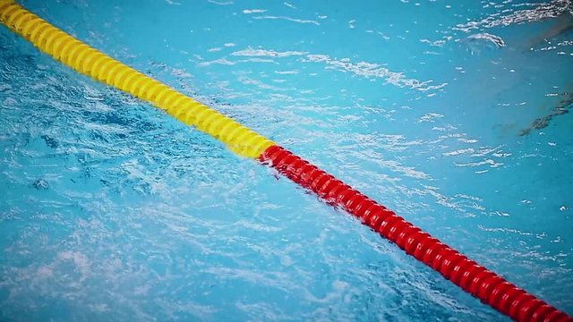 Detail video with swimming pool racing lanes