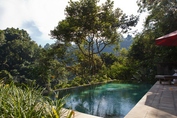 jungle tropic pool villa