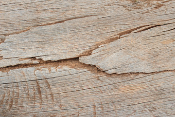 Texture of old wooden natural background