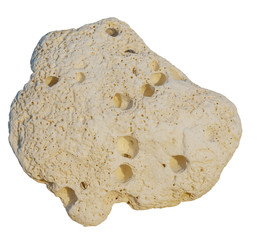 white calcareous stone isolated on white background