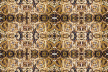 turtle shell texture symmetrical background closeup image