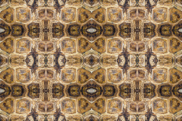 turtle shell texture symmetrical background closeup image