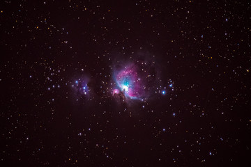Orion Nebula (M42)
