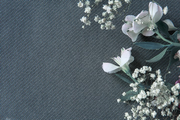 White spring flowers on gray background