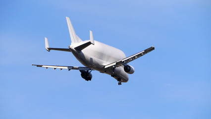 Flugzeug im Landeanflug