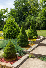 Summer backyard design