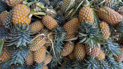 Pile of fresh pineapples